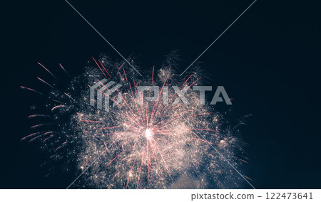 春節煙火綻放夜空 122473641