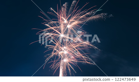 春節煙火綻放夜空 春節煙火綻放夜空 122473649