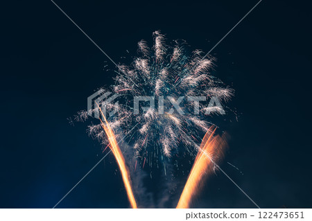 Spring Festival fireworks bloom in the night sky 122473651