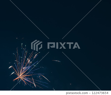 春節煙火綻放夜空 122473654