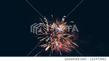 春節煙火綻放夜空 122473662