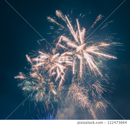 春節煙火綻放夜空 122473664