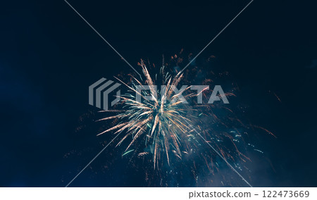 春節煙火綻放夜空 122473669
