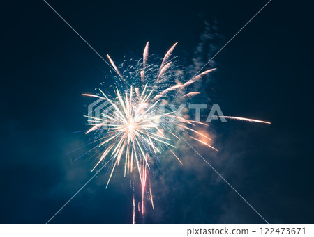 春節煙火綻放夜空 春節煙火綻放夜空 122473671