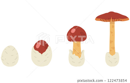 雞蛋菇插圖/可用向量圖 122473854