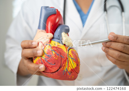 Cardiovascular disease CVD, Asian doctor holding human anatomy model for learn and treat heart disease. 122474168