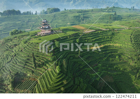 Aerial view of tea farm landscape in China Aerial view of tea farm landscape in China 122474211