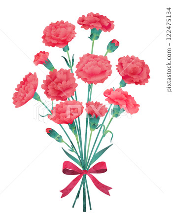 Red carnations, Mother's Day carnation bouquet Red carnations, Mother's Day carnation bouquet 122475134