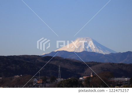冬季茶園和富士山 122475257