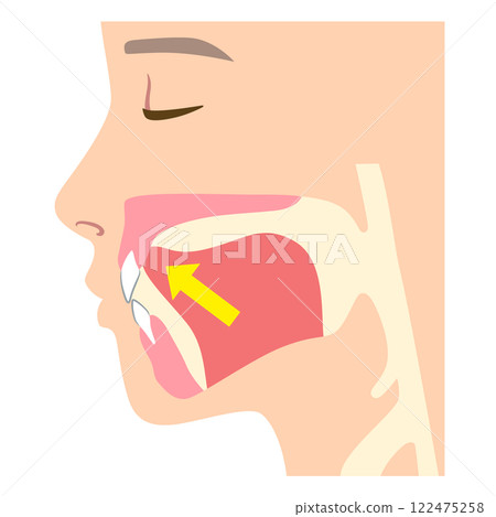 Incorrect Tongue Position Mewing 122475258