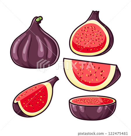 set of ripe fig fruits isolated on white background 122475481