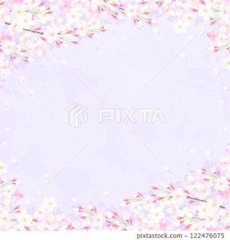 cherry blossom, cherry tree, flower 122476075