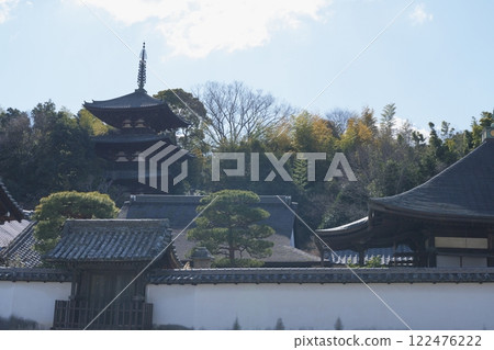 奈良縣當摩寺中之坊與東塔 [1月] 122476222