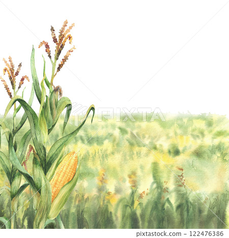 Field of corn. Farmers crop agricultural field with cereals yellow flowers or crops. Watercolor landscape, nature background with agricultural field, meadow or glade. Hand drawn illustration isolated 122476386