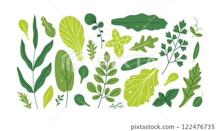 Fresh green leafy vegetables 122476735