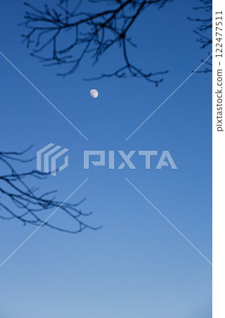 冬日夜空中漂浮的月亮 冬日夜空中漂浮的月亮 122477511