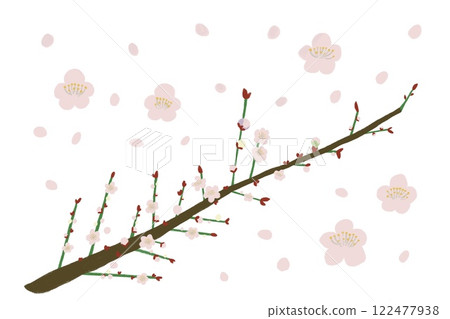 簡單的梅花圖 122477938