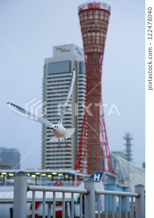 神戶海濱港塔與飛翔的海鷗 122478040