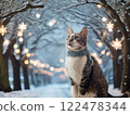 Winter illuminations and a sitting cat 122478344