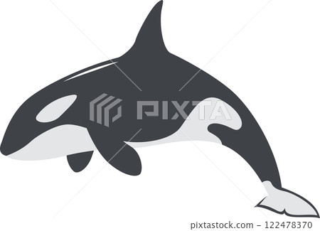 虎鯨圖像插圖 122478370