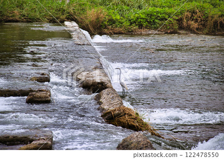 京都鴨川（鴨川） 122478550