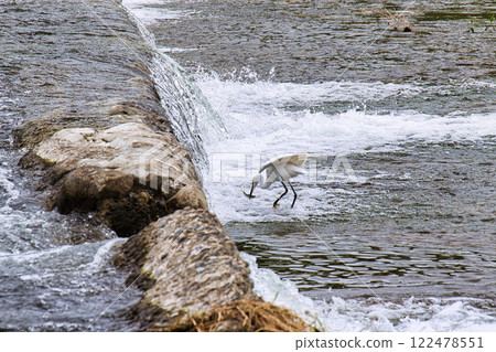 Kyoto Kamo River (Kamo River) 122478551