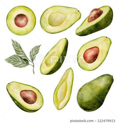 Big set of Watercolor avocado illustration. Hand drawn botanical drawing. Half and slice fruit with leaves and seed. Green plant for food, cosmetic packaging design, card, invitation. Big set of Watercolor avocado illustration. Hand drawn botanical drawing. Half and slice fruit with leaves and seed. Green plant for food, cosmetic packaging design, card, invitation. 122479913