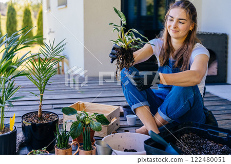 Happy home gardener transplanting plants: woman examines leaves and plant root in domestic garden outdoor on terrace of her house. Happy home gardener transplanting plants: woman examines leaves and plant root in domestic garden outdoor on terrace of her house. 122480051