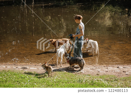 dog walker, dog handler on a walk with their pets. owner of the pet walks through meadow of park  122480113