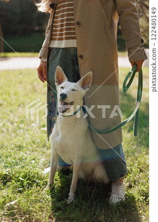 young woman walks with a white dog in park. lady in beige raincoat hugs husky on green lawn 122480149