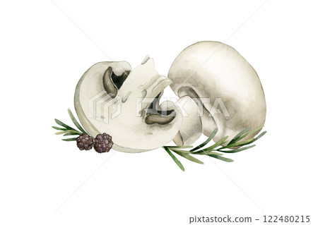 Champignon mushrooms with rosemary and black pepper arrangement. Fresh vegetables. Watercolor hand painted isolated food illustration cookbook, kitchen table textile, delicious fabric, package, card Champignon mushrooms with rosemary and black pepper arrangement. Fresh vegetables. Watercolor hand painted isolated food illustration cookbook, kitchen table textile, delicious fabric, package, card 122480215