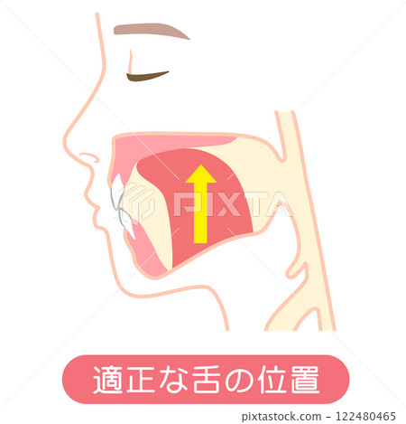 正確的舌頭位置 122480465