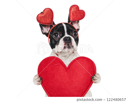 Cute puppy and red heart. Beautiful greeting card 122480657