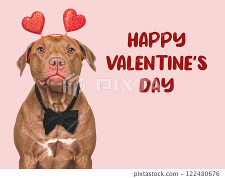 Happy Valentine's Day. Lovable dog and congratulatory inscription 122480676
