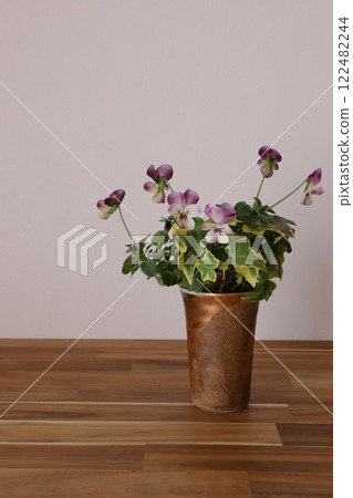 種植中提琴 122482244