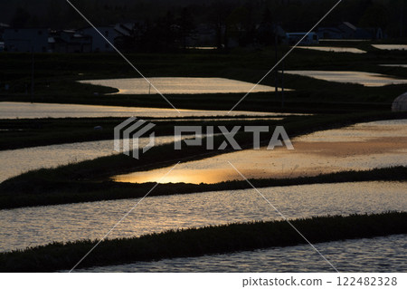 反映日落的稻田 122482328