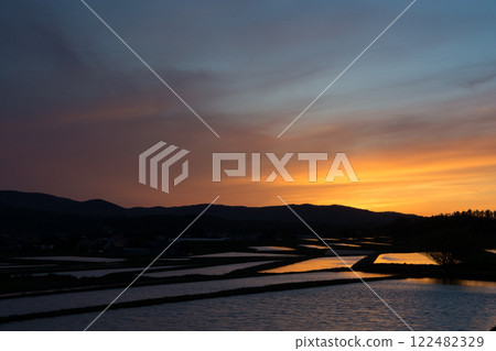 Paddy fields reflecting the sunset Paddy fields reflecting the sunset 122482329