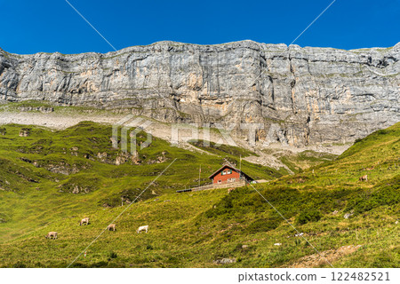 Lonely farmhouse and grazing cows in front of steep rocks on Klausen Pass in Switzerland Lonely farmhouse and grazing cows in front of steep rocks on Klausen Pass in Switzerland 122482521