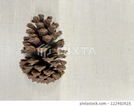 Pine cone, pine cone, pine cone Pine cone, pine cone, pine cone 122482628