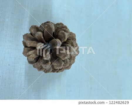 Pine cone, pine cone, pine cone Pine cone, pine cone, pine cone 122482629