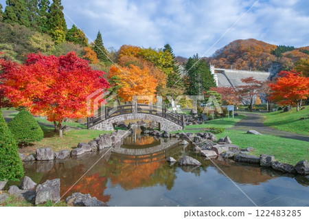 Landscape with autumn leaves 122483285