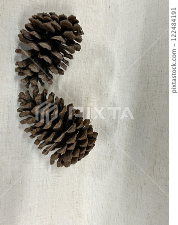 松果，松果，松果，松果，松果 122484191