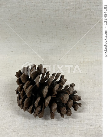 Pine cone, pine cone, pine cone, pine cone, pine cone 122484192