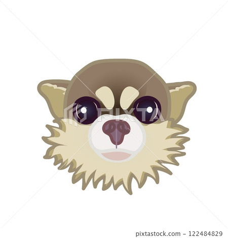 摩卡吉娃娃臉部插圖 摩卡吉娃娃臉部插圖 122484829