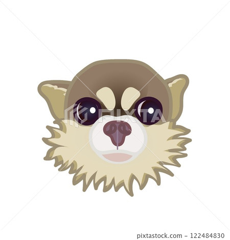 摩卡吉娃娃臉部插圖 122484830