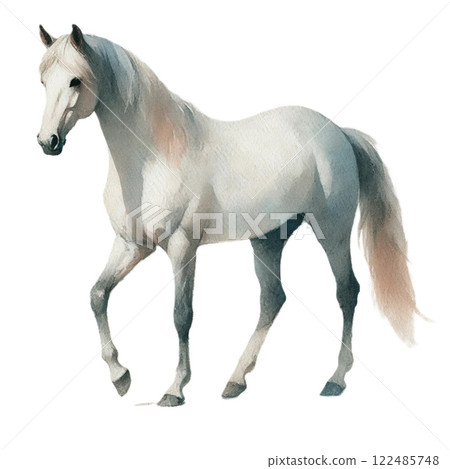Graceful horse watercolor illustration 122485748
