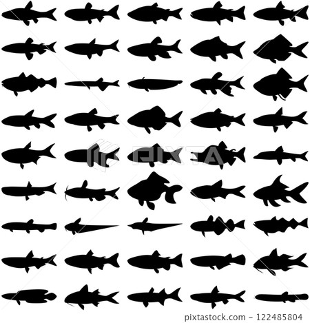 Layered editable vector illustration silhouette of 45 freshwater fishes. 122485804