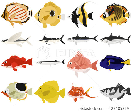 Layered editable vector illustration collection of fishes. 122485819