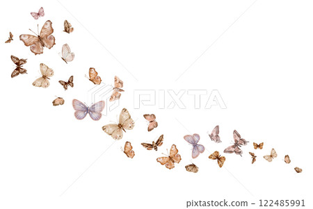 Butterflies, stereofish, moths and other flying on white background. Set of delicate cute beige brown butterflies. Hand drawn watercolor illustration on isolated white background. Template for print. Butterflies, stereofish, moths and other flying on white background. Set of delicate cute beige brown butterflies. Hand drawn watercolor illustration on isolated white background. Template for print. 122485991