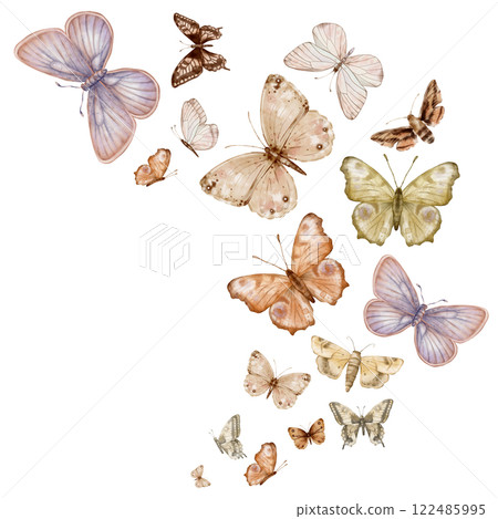 Butterflies, stereofish, moths on white background. Set of delicate cute beige brown violet butterflies. Hand drawn watercolor illustration on isolated white background. Template for print or frame. Butterflies, stereofish, moths on white background. Set of delicate cute beige brown violet butterflies. Hand drawn watercolor illustration on isolated white background. Template for print or frame. 122485995